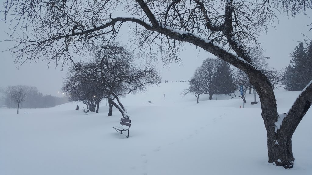 Ottawa park in the winter